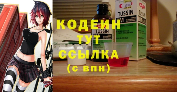 гидропоника Инта
