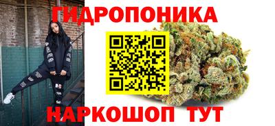 спиды Ачхой-Мартан
