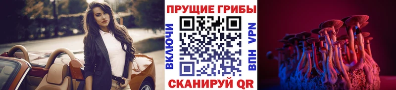 Галлюциногенные грибы Cubensis  цены   Владимир 