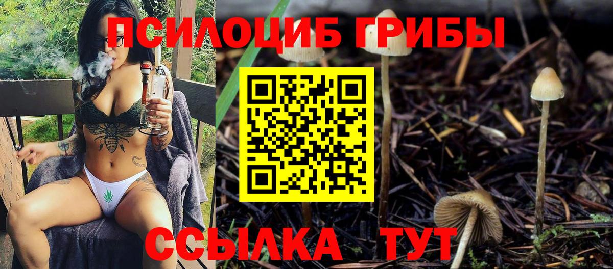 где продают наркотики  Галлюциногенные грибы мицелий  Вход с VPN  Владимир 