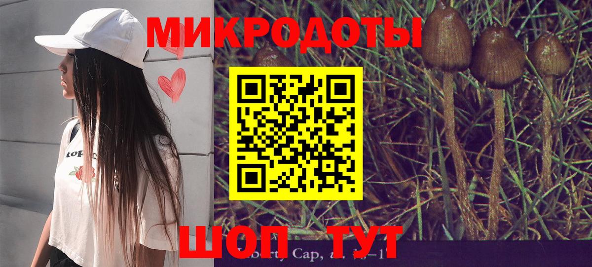 Псилоцибиновые грибы GOLDEN TEACHER Владимир